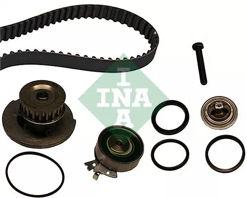 Ina Water Pump & Timing Belt Kit For Chevrolet Daewoo Holden Opel Vauxhall 1.5i 