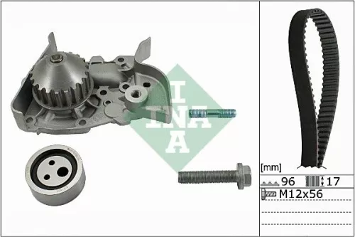 Ina Water Pump & Timing Belt Kit For Dacia Renault Vw (Faw) Bora Kangoo Megane S