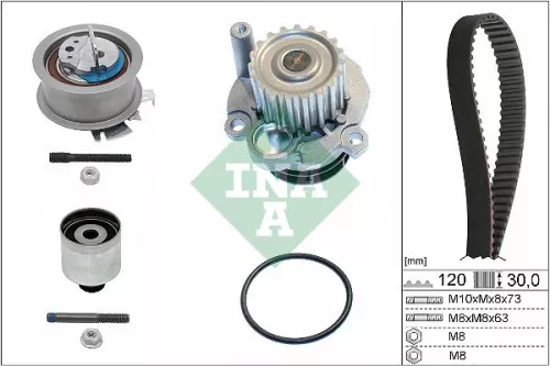 Ina Water Pump & Timing Belt Kit For Audi Ford Seat Skoda Vw A3 A4 A6 Alhambra A