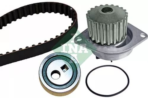 Ina Water Pump & Timing Belt Kit For Citroën Citroën (Df-psa) Peugeot Peugeot (D