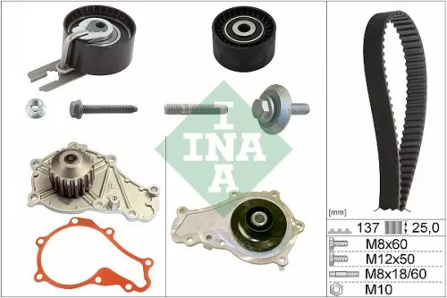Ina Water Pump & Timing Belt Kit For Citroën Fiat Ford Ford Australia Mini Peuge