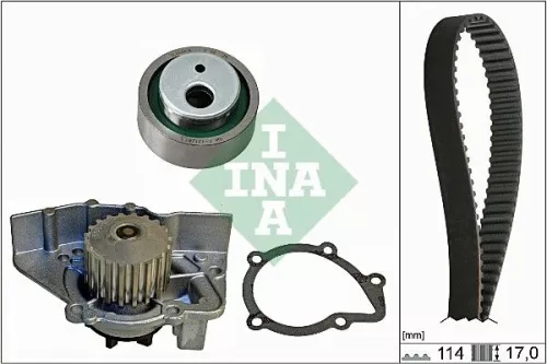 Ina Water Pump & Timing Belt Kit For Citroën Fiat Peugeot 205 306 309 405 406 80