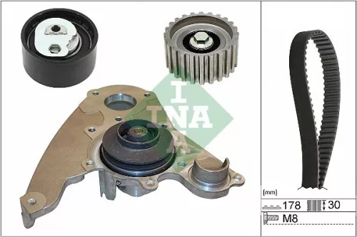 Ina Water Pump & Timing Belt Kit For Chevrolet Fiat Iveco Daily Ducato Express