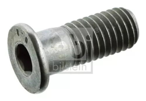 Bolt, brake disc