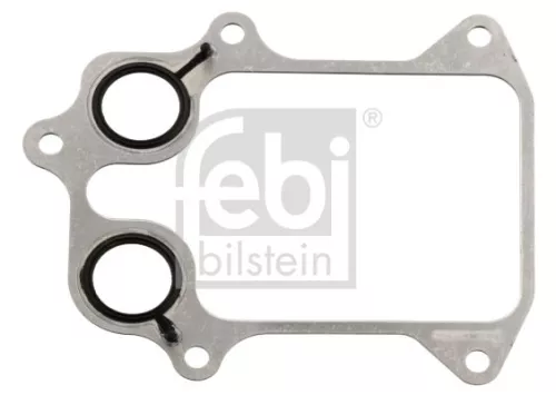 Gasket, oil cooler