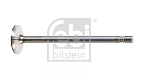 Intake Valve