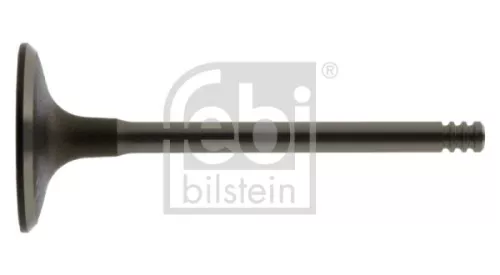 Intake Valve