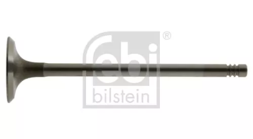 Intake Valve
