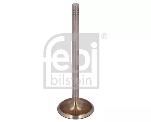 Intake Valve