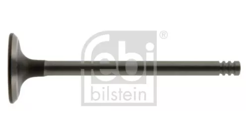 Intake Valve