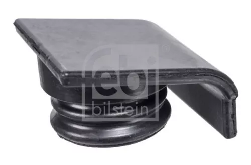 Sealing Cap, oil filler neck
