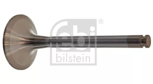 Intake Valve