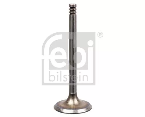 Intake Valve