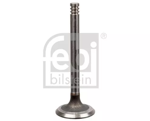 Intake Valve