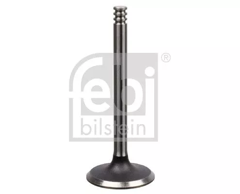 Intake Valve