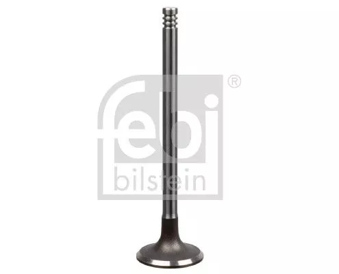 Intake Valve
