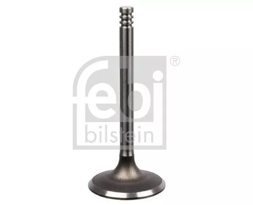Intake Valve
