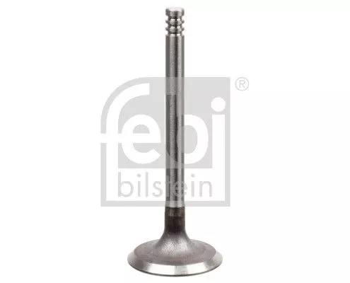 Intake Valve