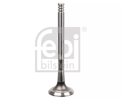 Intake Valve