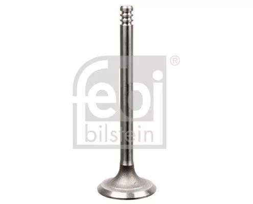 Intake Valve
