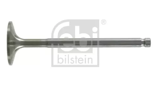 Intake Valve