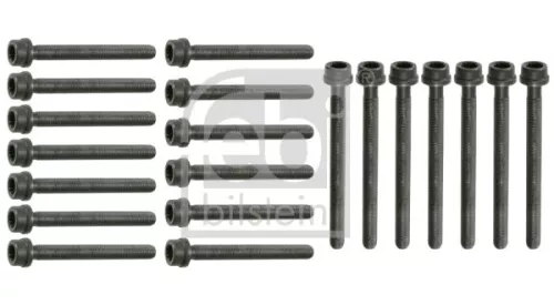 FEBI BILSTEIN FEBI BILSTEIN 22036 Cylinder Head Bolt Set 