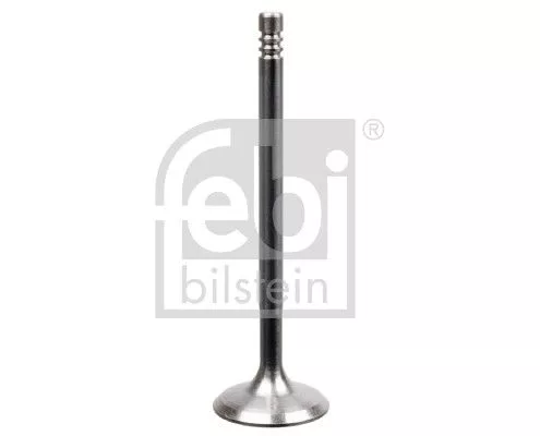 Intake Valve
