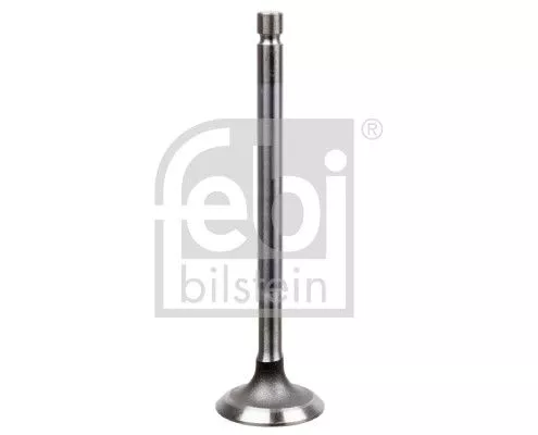 Intake Valve