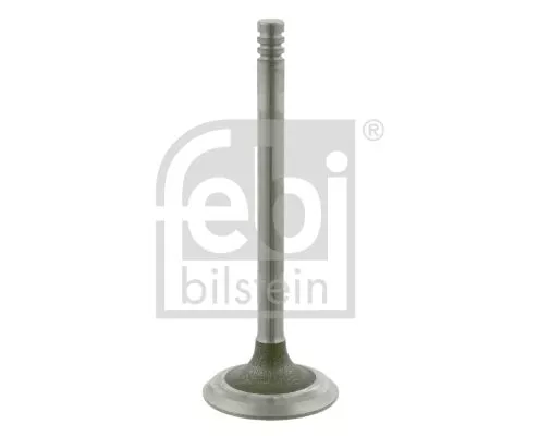 Intake Valve