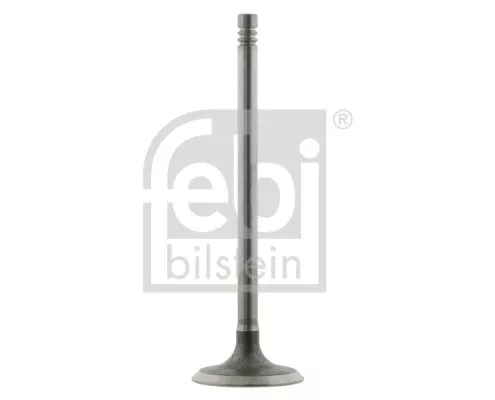 Intake Valve