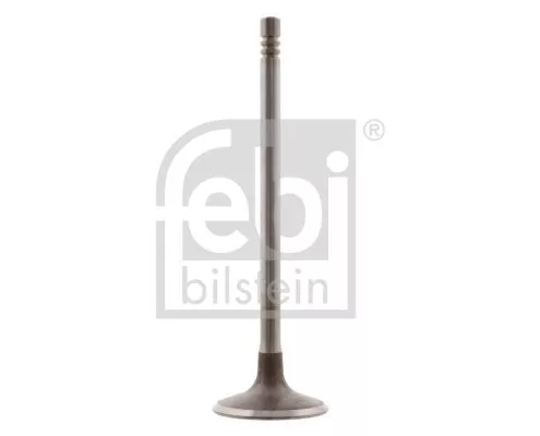 Intake Valve