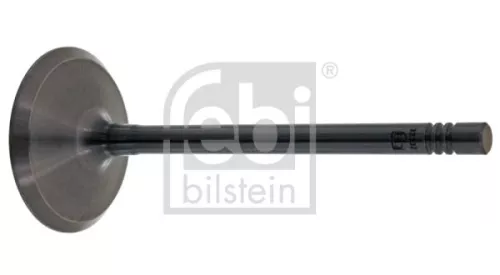 Intake Valve