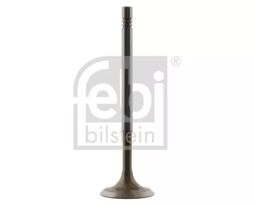 Intake Valve