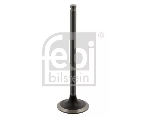 Intake Valve