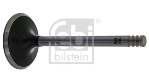 Intake Valve