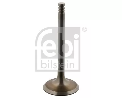 Intake Valve