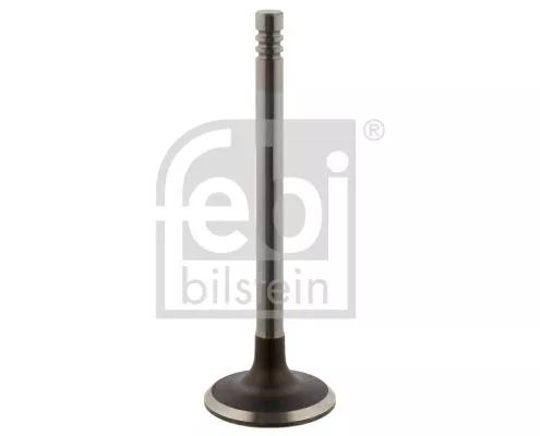 Intake Valve