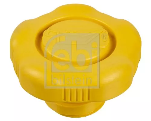 Sealing Cap, oil filler neck