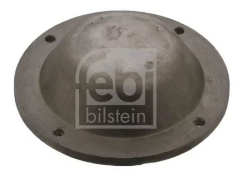 Protection Lid, wheel hub