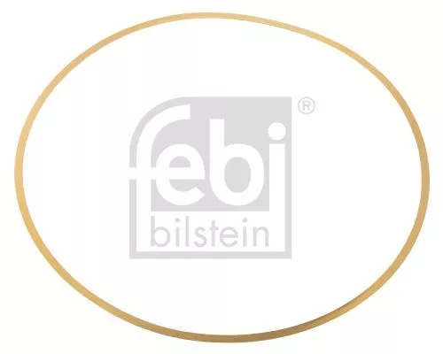 Gasket, cylinder liner