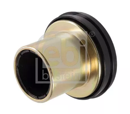 FEBI BILSTEIN FEBI BILSTEIN 172905 Bush, steering knuckle 