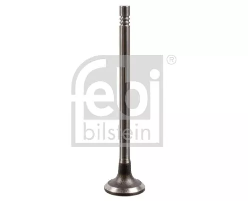 Intake Valve