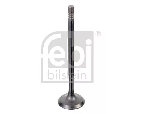 Intake Valve