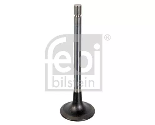 Intake Valve