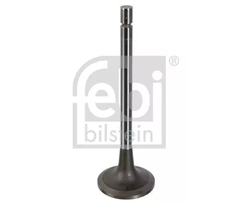 Intake Valve