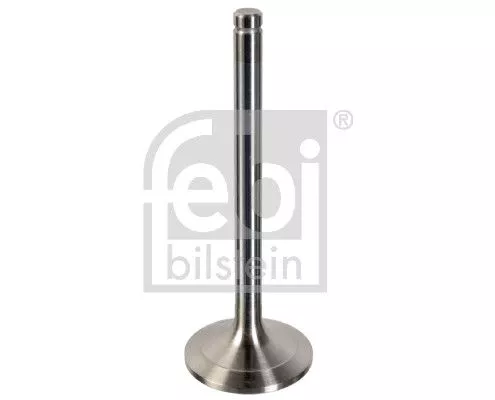 Intake Valve
