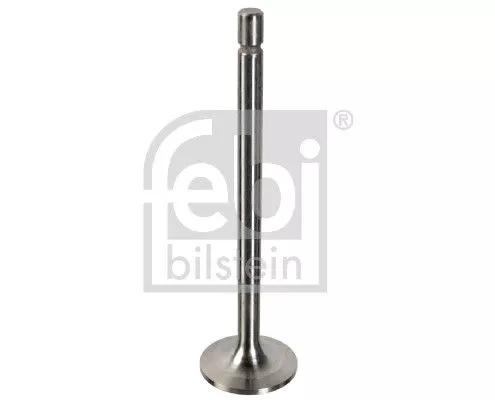 Intake Valve