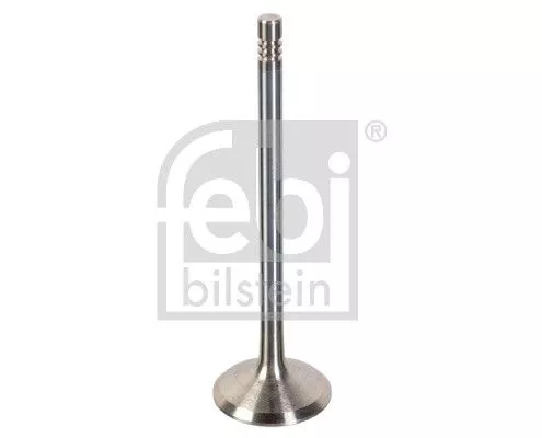 Intake Valve
