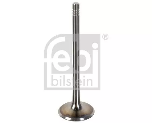Intake Valve