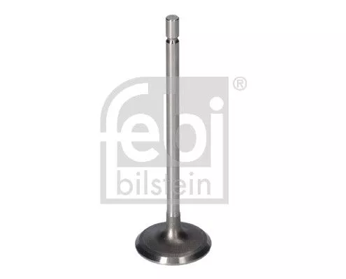 Intake Valve